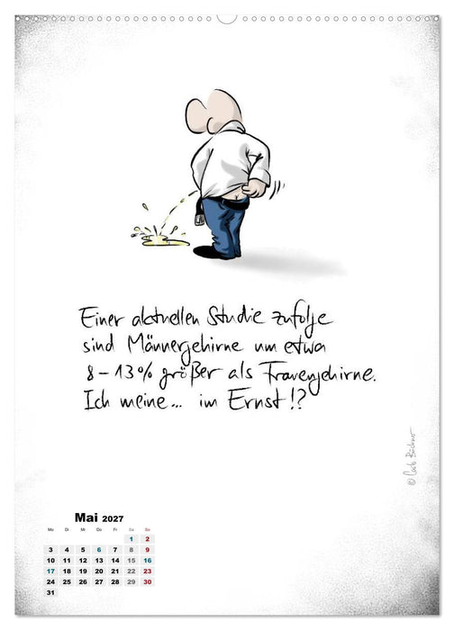 NEUES JAHR, NEUER SPASS... (CALVENDO Wandkalender 2027)