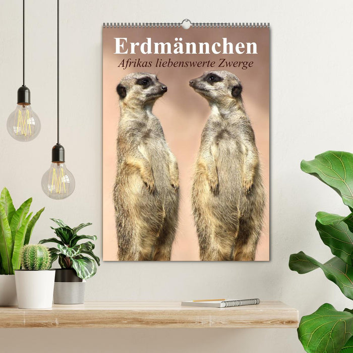 Erdmännchen - Afrikas liebenswerte Zwerge (CALVENDO Wandkalender 2027)