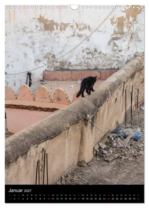 Katzen in Marokko (CALVENDO Wandkalender 2027)