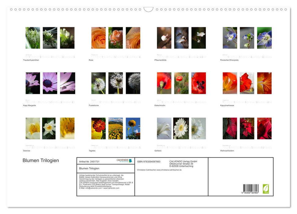 Blumen Trilogien (CALVENDO Wandkalender 2027)