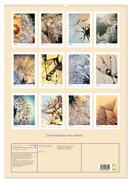 Die Pusteblume neu erleben (CALVENDO Wandkalender 2027)