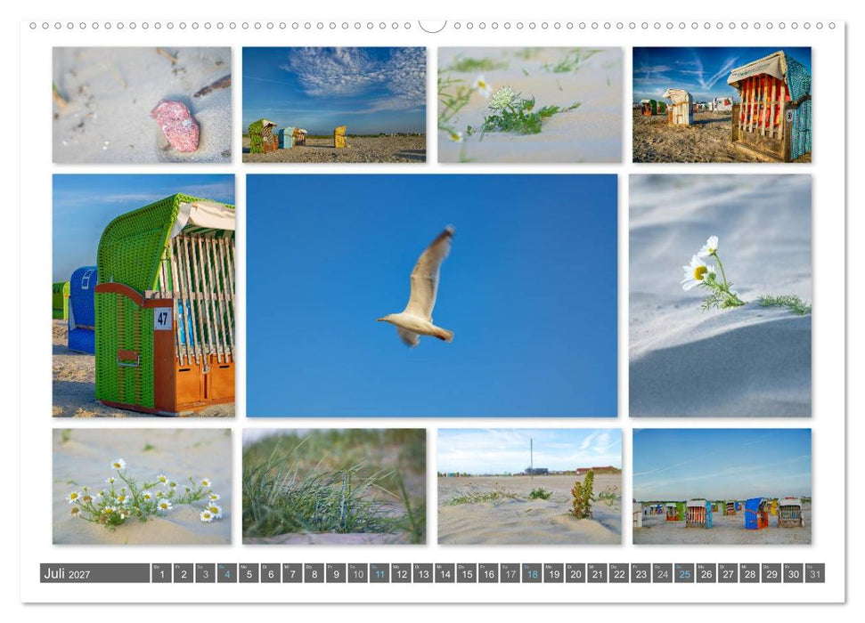Naturcollagen 2027 (CALVENDO Premium Wandkalender 2027)