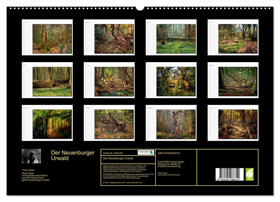 Der Neuenburger Urwald (CALVENDO Premium Wandkalender 2027)