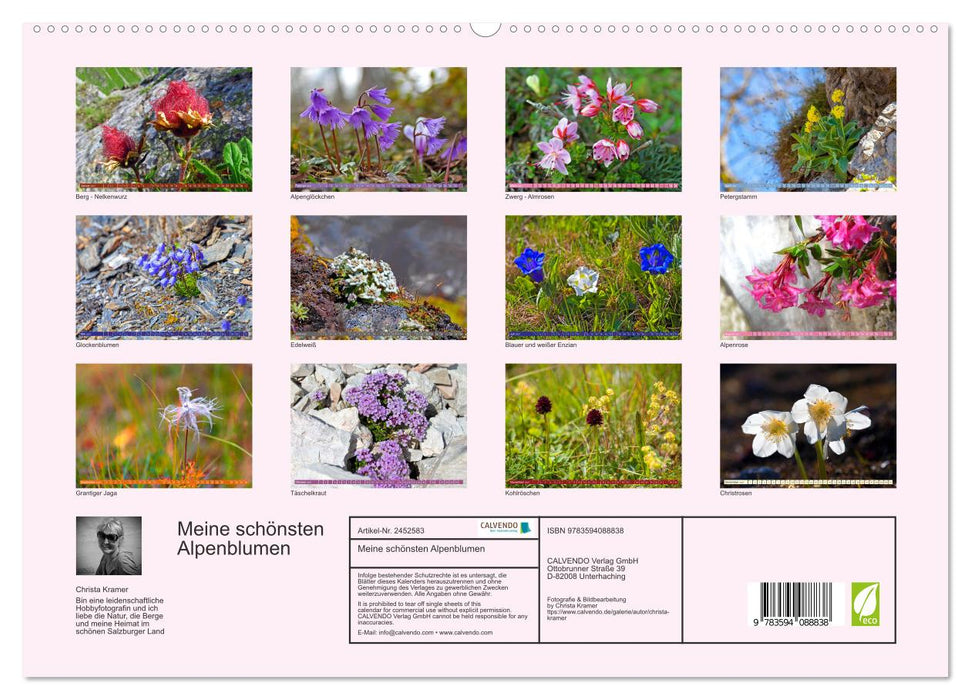 Meine schönsten Alpenblumen (CALVENDO Premium Wandkalender 2027)