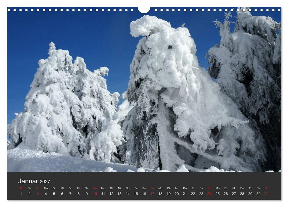 Alte Bäume Alte Veteranen (CALVENDO Wandkalender 2027)