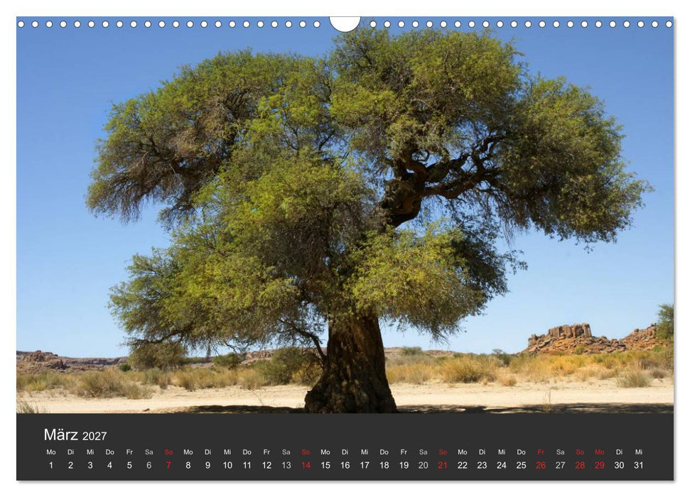Alte Bäume Alte Veteranen (CALVENDO Wandkalender 2027)