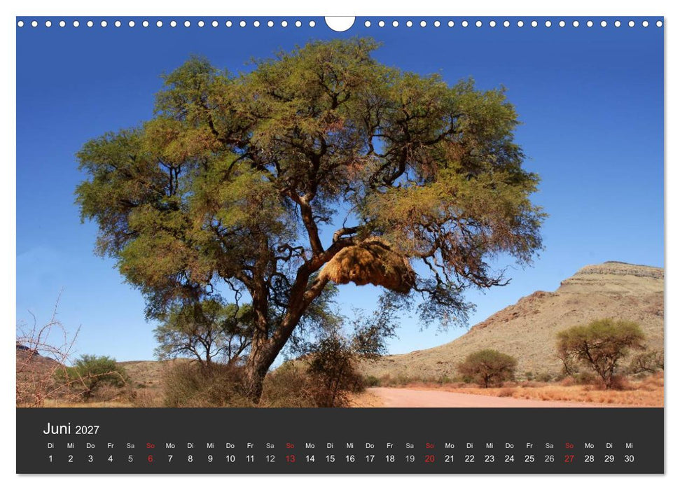 Alte Bäume Alte Veteranen (CALVENDO Wandkalender 2027)