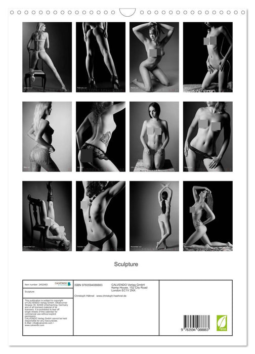 Sculpture (CALVENDO Monthly Calendar 2027)