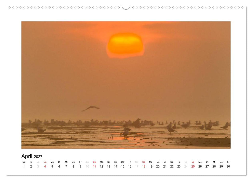 FEHMARN - Magische Momente (CALVENDO Premium Wandkalender 2027)
