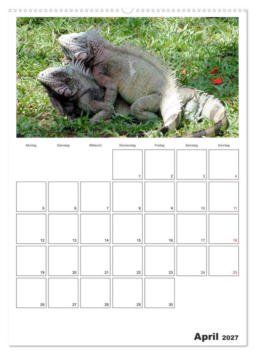 Venezuela - Land der Kontraste (CALVENDO Wandkalender 2027)