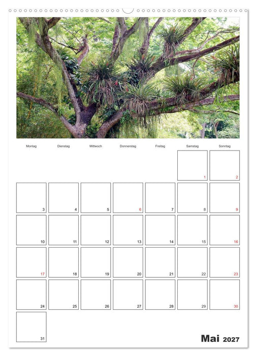 Venezuela - Land der Kontraste (CALVENDO Wandkalender 2027)