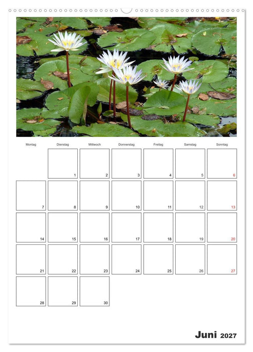Venezuela - Land der Kontraste (CALVENDO Wandkalender 2027)