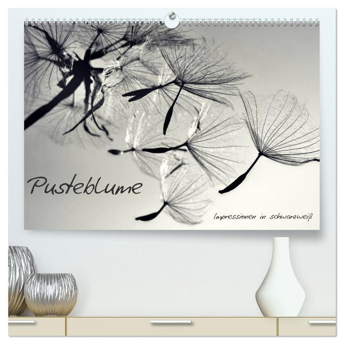 Pusteblume - Impressionen in schwarzweiß (CALVENDO Premium Wandkalender 2027)