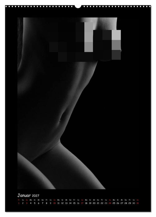 Anonymer Akt (CALVENDO Wandkalender 2027)