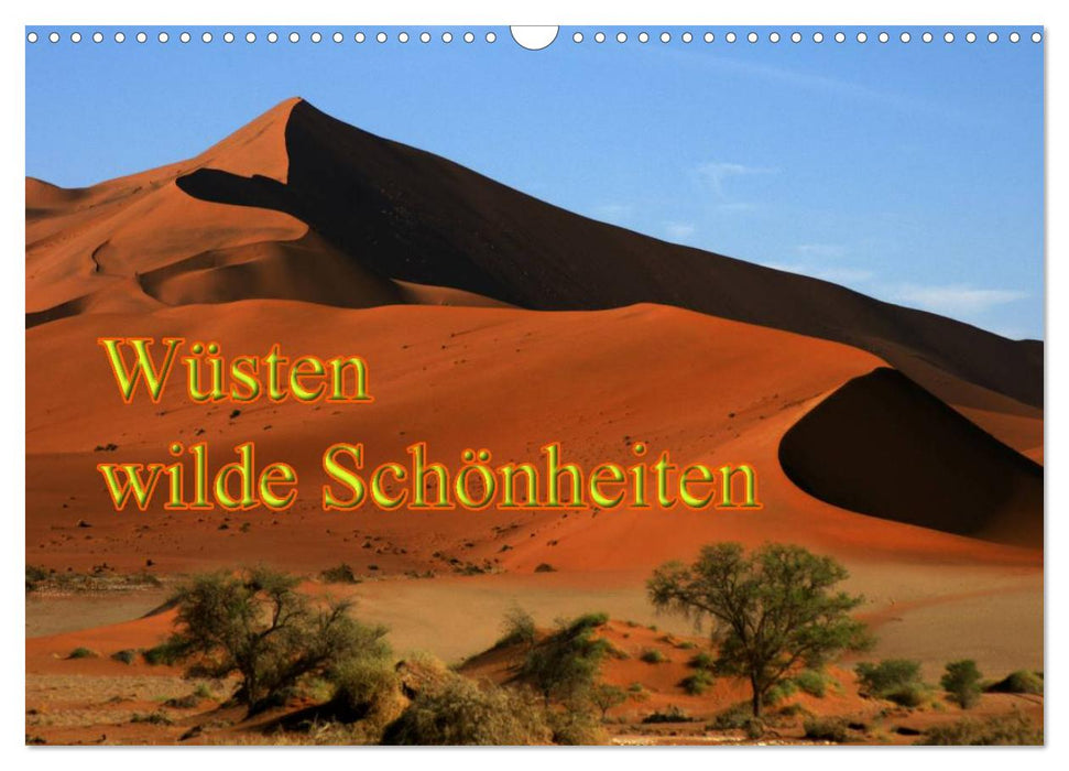 Wüsten, wilde Schönheiten (CALVENDO Wandkalender 2027)