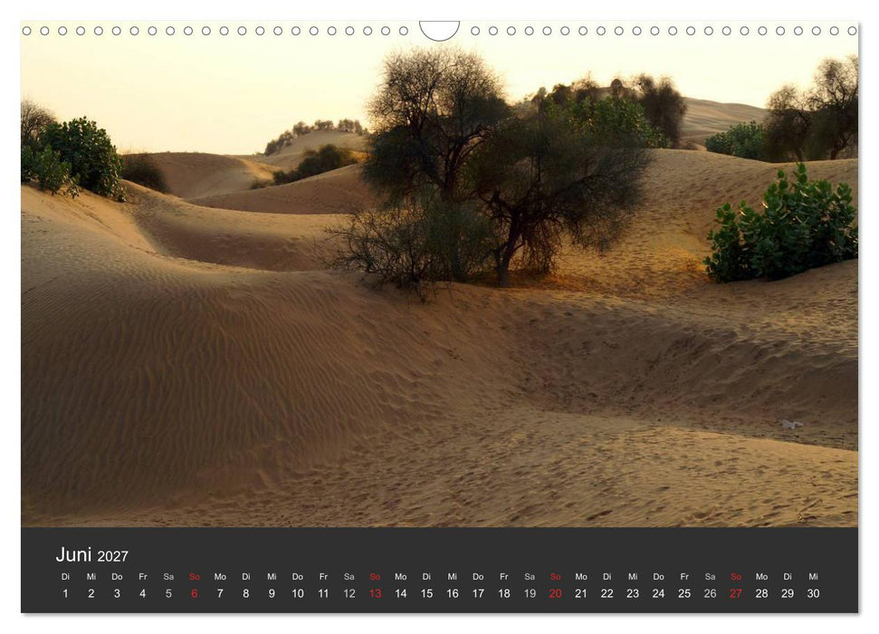 Wüsten, wilde Schönheiten (CALVENDO Wandkalender 2027)
