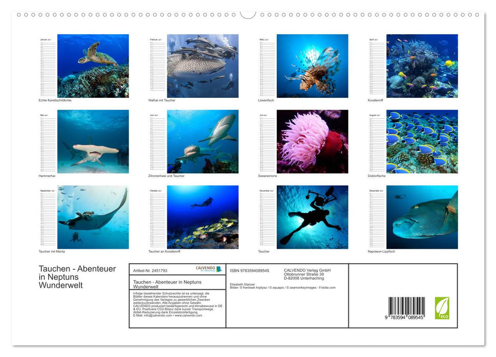 Tauchen - Abenteuer in Neptuns Wunderwelt (CALVENDO Premium Wandkalender 2027)