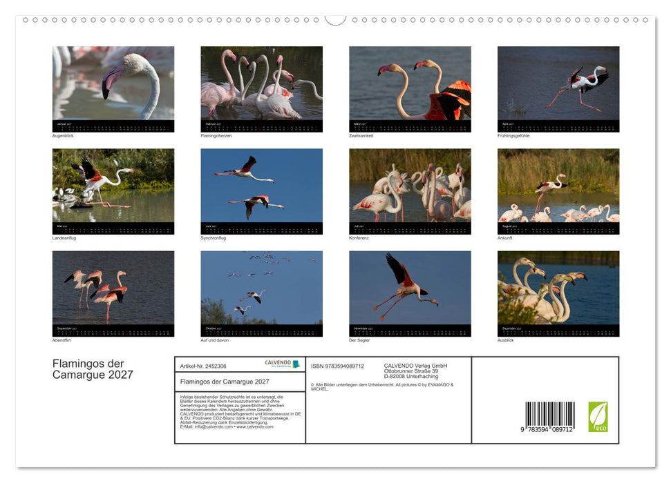 Flamingos der Camargue 2027 (CALVENDO Premium Wandkalender 2027)