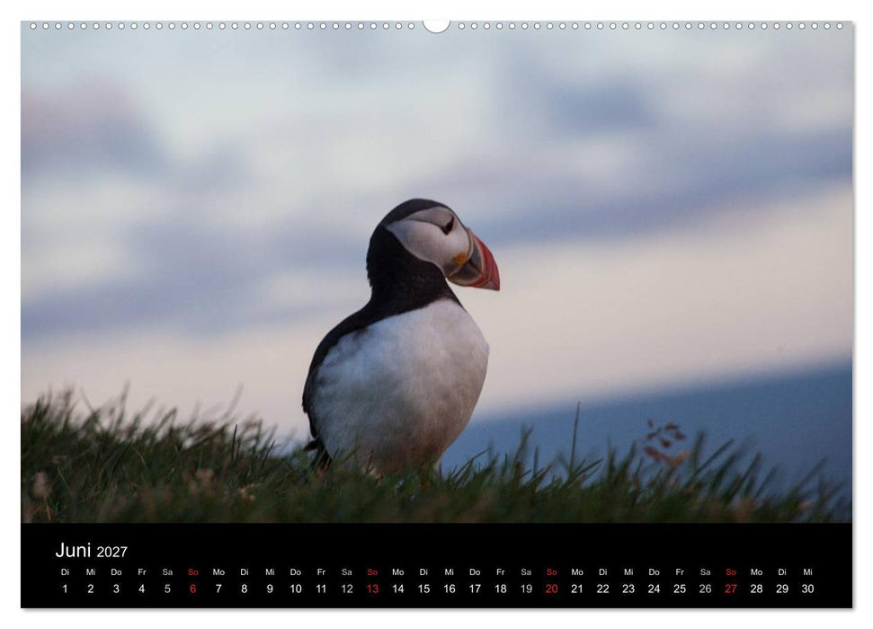 Island - Iceland - Ísland (CALVENDO Wandkalender 2027)
