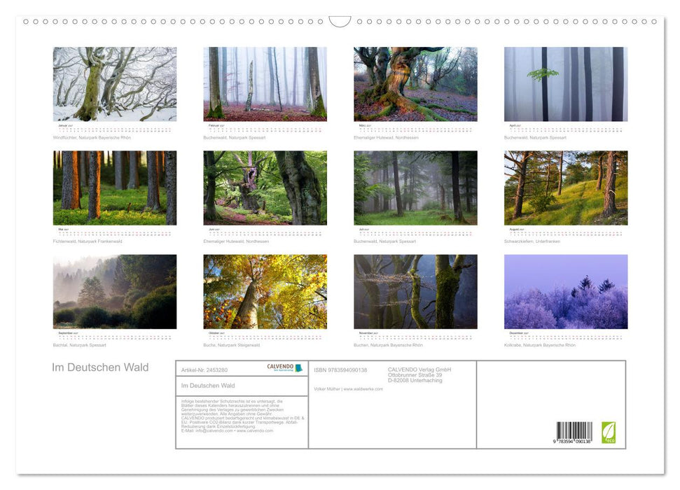 Im Deutschen Wald (CALVENDO Wandkalender 2027)
