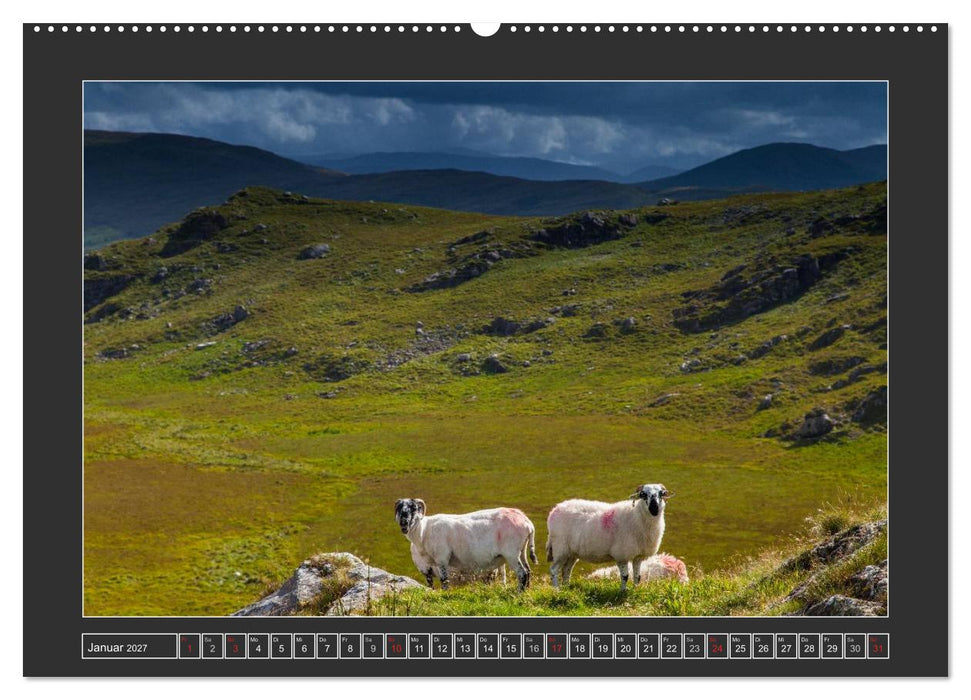 IRLAND - Insel der glücklichen Schafe (CALVENDO Premium Wandkalender 2027)