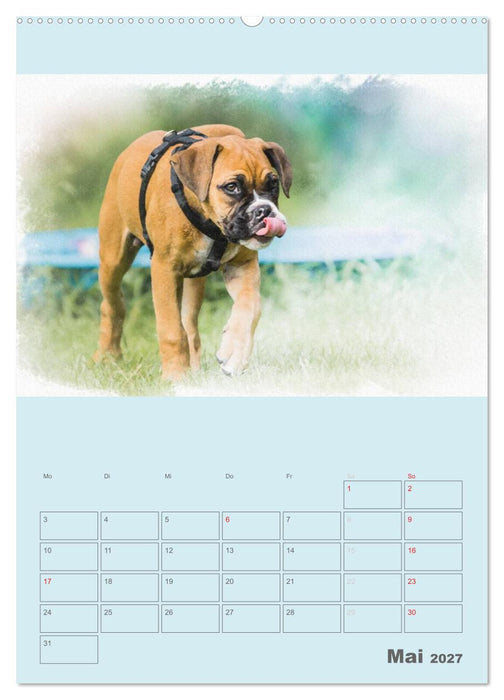Hunde in Aquarell - Jahresplaner (CALVENDO Wandkalender 2027)
