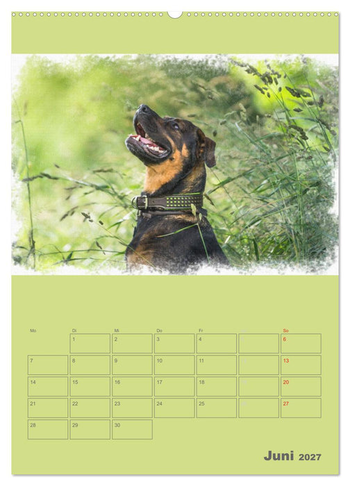 Hunde in Aquarell - Jahresplaner (CALVENDO Wandkalender 2027)