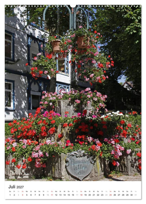 Wunderschönes Bad Harzburg (CALVENDO Premium Wandkalender 2027)