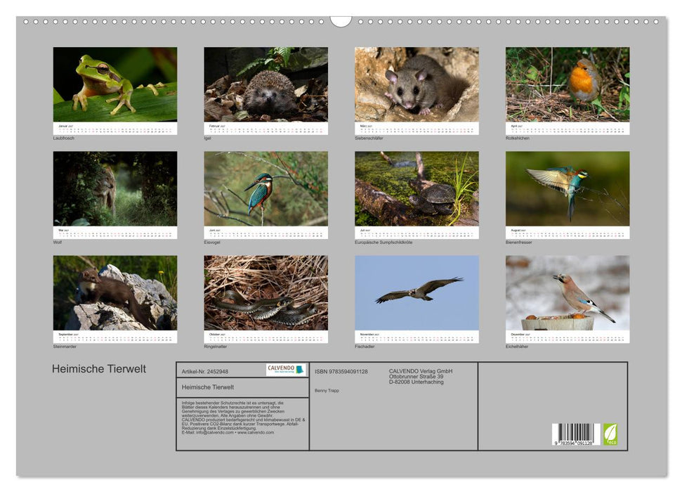 Heimische Tierwelt (CALVENDO Wandkalender 2027)