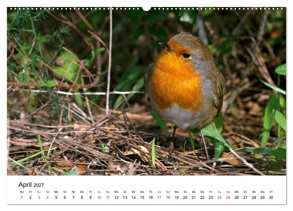 Heimische Tierwelt (CALVENDO Wandkalender 2027)