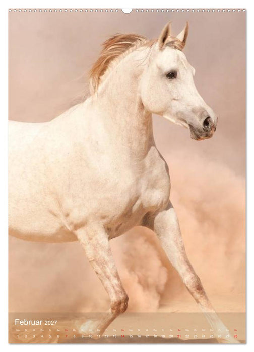 Arabische Pferde • Geschöpfe des Windes (CALVENDO Wandkalender 2027)