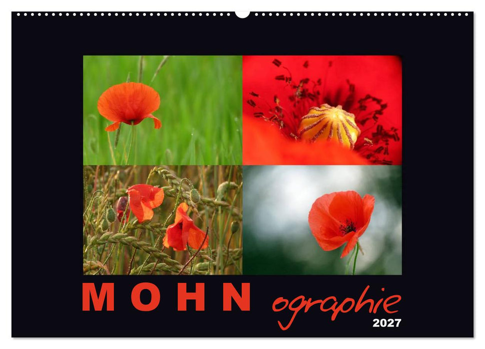 MOHNographie (CALVENDO Wandkalender 2027)