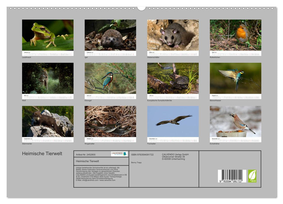 Heimische Tierwelt (CALVENDO Premium Wandkalender 2027)
