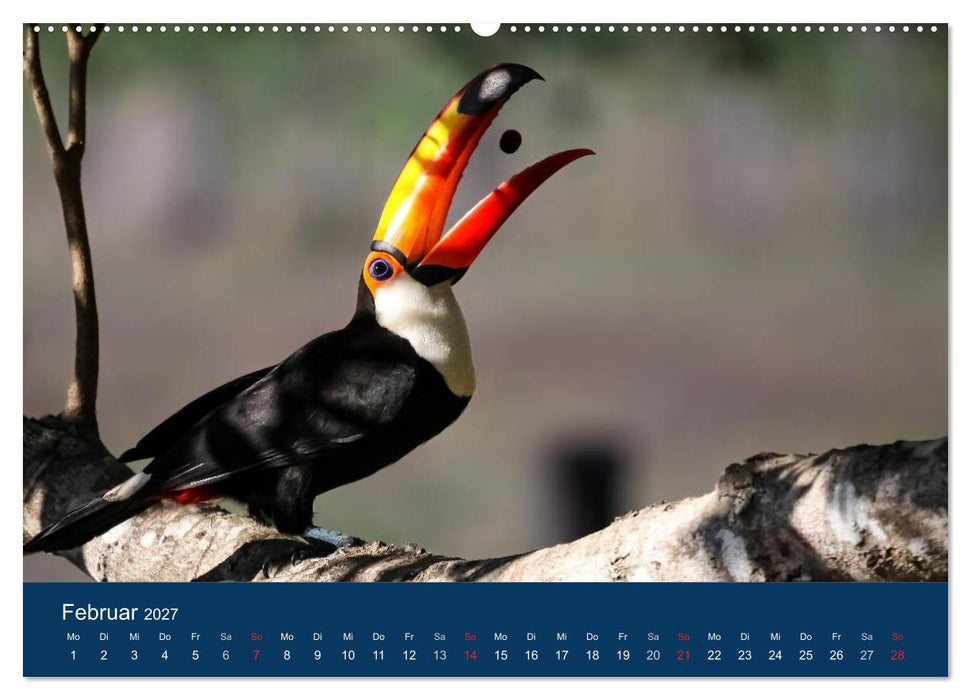 Brasilien tierisch gut 2027 (CALVENDO Premium Wandkalender 2027)