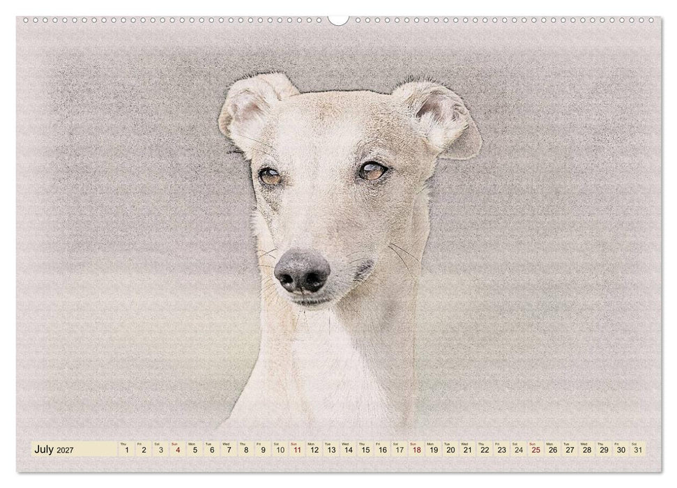 Whippets 2027 (CALVENDO Premium-Calendar 2027)
