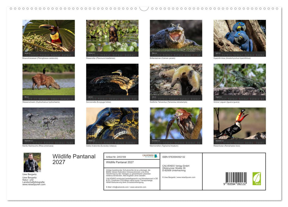 Wildlife Pantanal 2027 (CALVENDO Premium Wandkalender 2027)