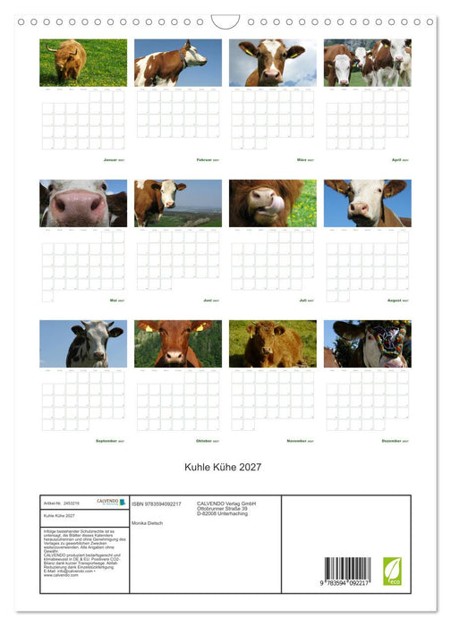 Kuhle Kühe 2027 (CALVENDO Wandkalender 2027)