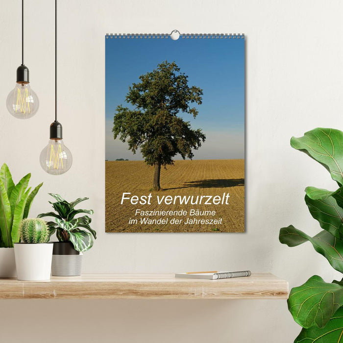 Fest verwurzelt - Faszinierende Bäume im Wandel der Jahreszeit (CALVENDO Wandkalender 2027)