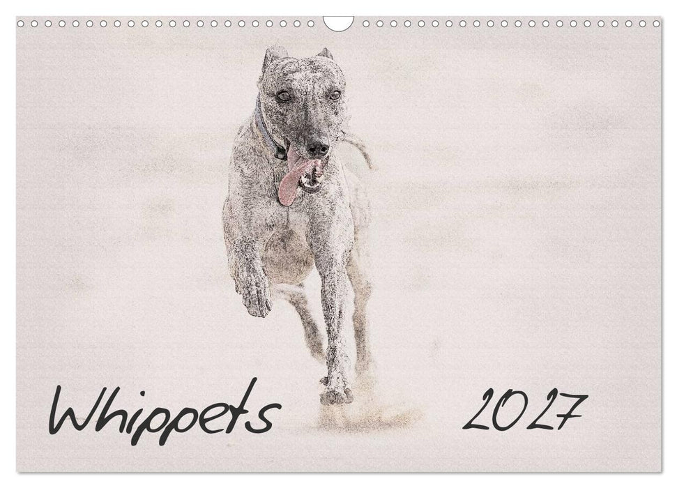 Whippets 2027 (CALVENDO Monthly Calendar 2027)