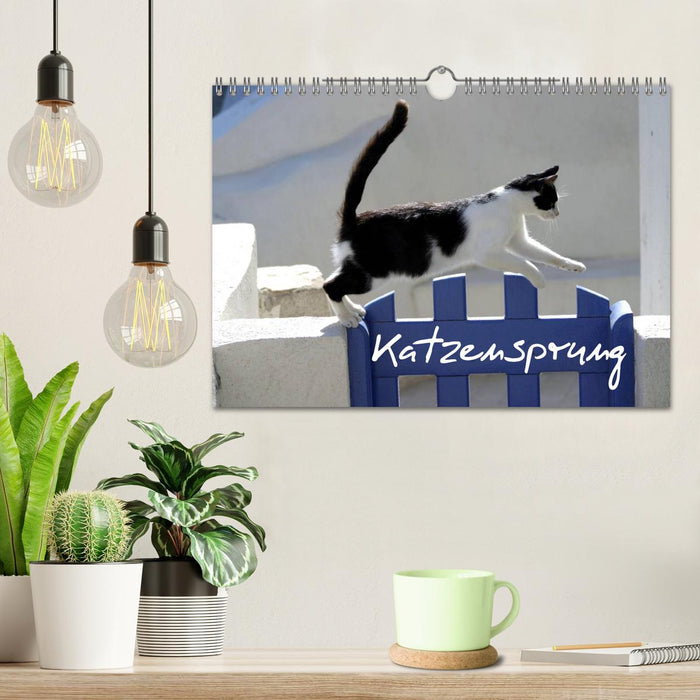 Katzensprung (CALVENDO Wandkalender 2027)