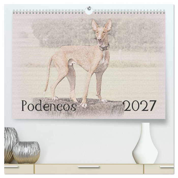 Podencos 2027 (CALVENDO Premium Wandkalender 2027)