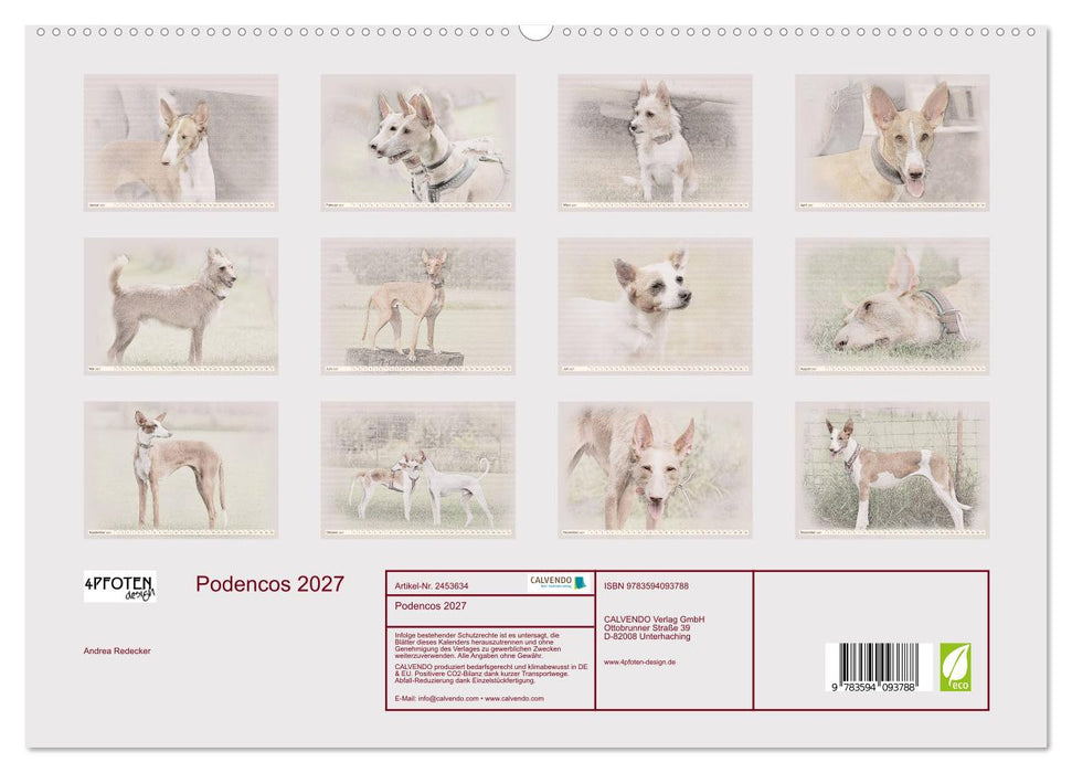 Podencos 2027 (CALVENDO Premium Wandkalender 2027)