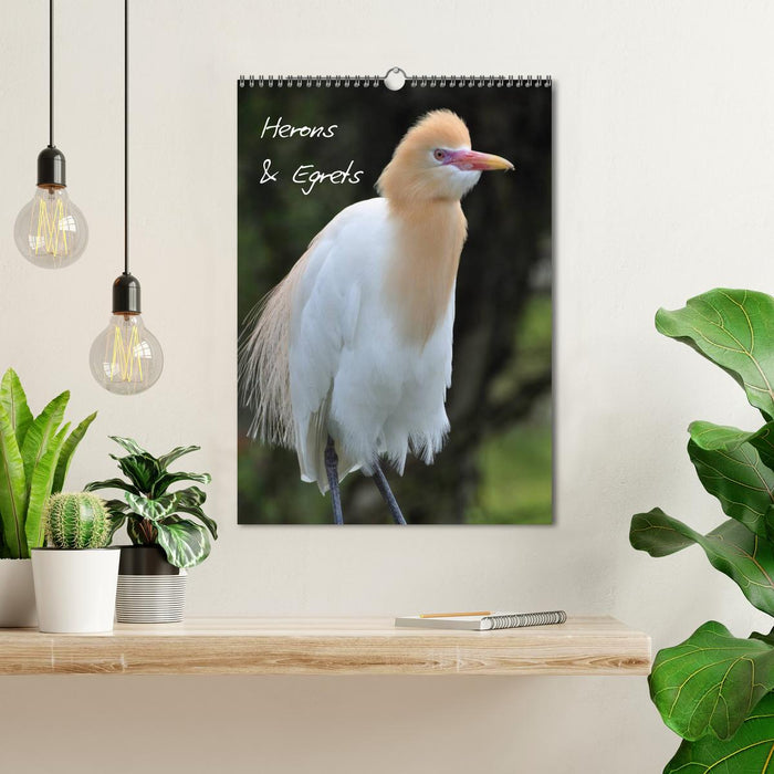 Herons & Egrets (CALVENDO Monthly Calendar 2027)