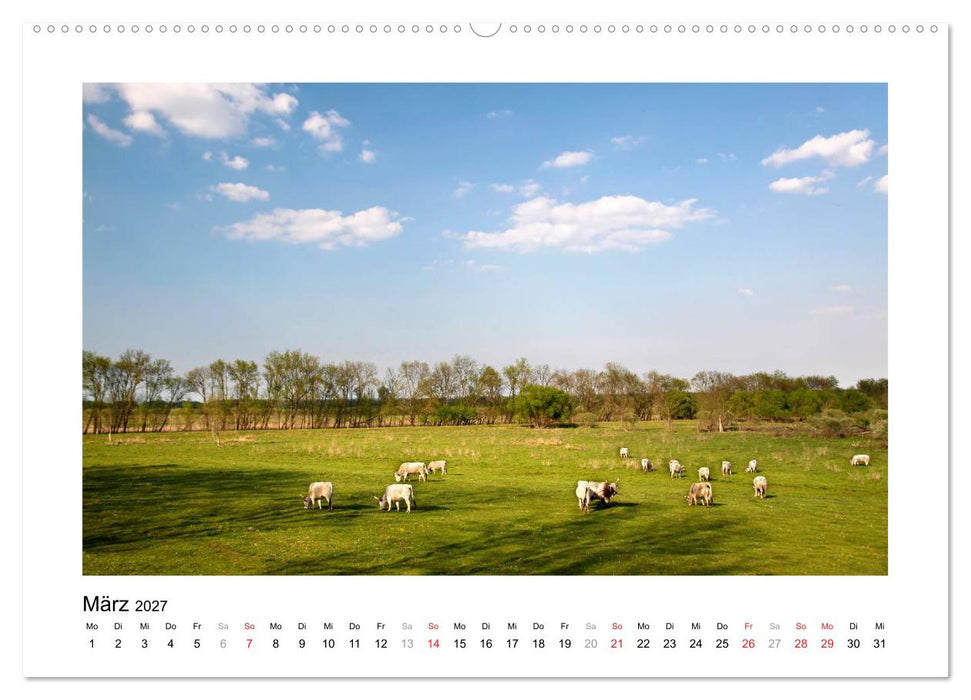 Westungarn - Schönheit und Geheimnis (CALVENDO Premium Wandkalender 2027)