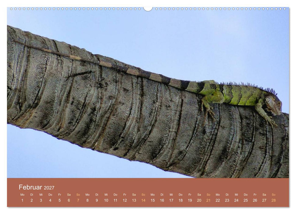 ABC: Aruba - Bonaire - Curaçao (CALVENDO Premium Wandkalender 2027)