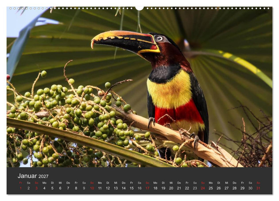 Wildlife Pantanal 2027 (CALVENDO Wandkalender 2027)