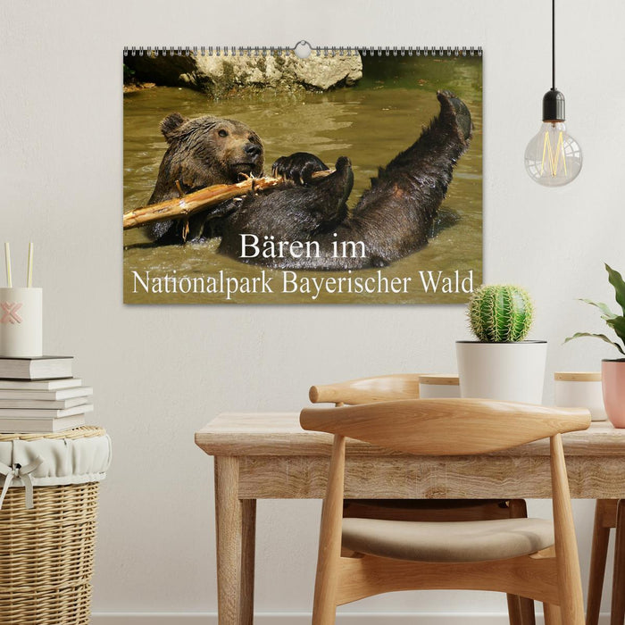 Bären im Nationalpark Bayerischer Wald (CALVENDO Wandkalender 2027)