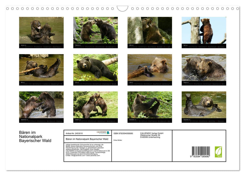 Bären im Nationalpark Bayerischer Wald (CALVENDO Wandkalender 2027)