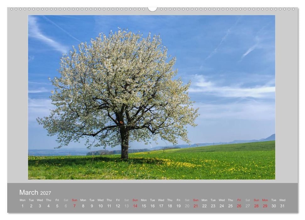 Switzerland Mountainscapes 2027 (CALVENDO Premium-Calendar 2027)