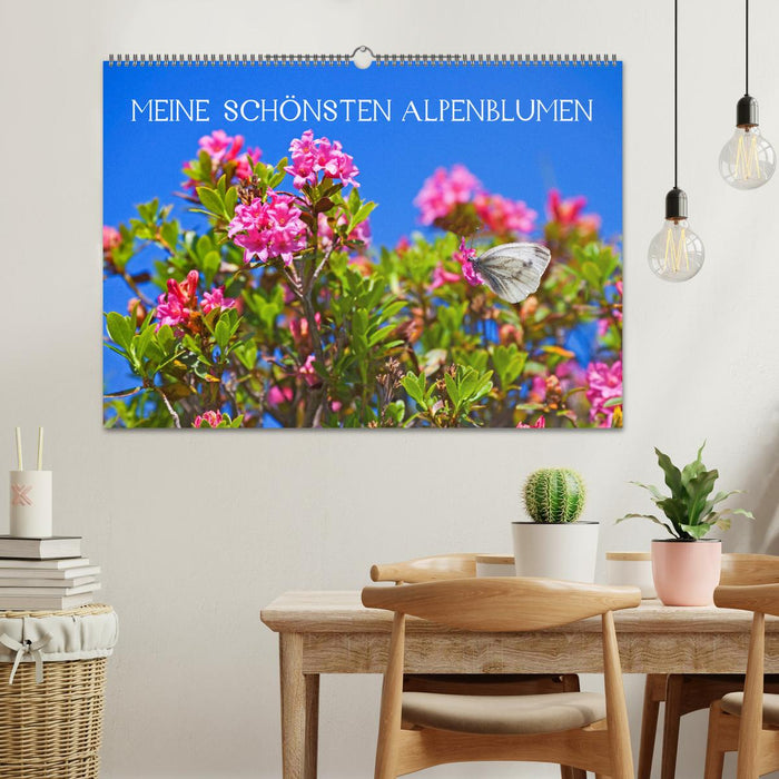 Meine schönsten Alpenblumen (CALVENDO Wandkalender 2027)
